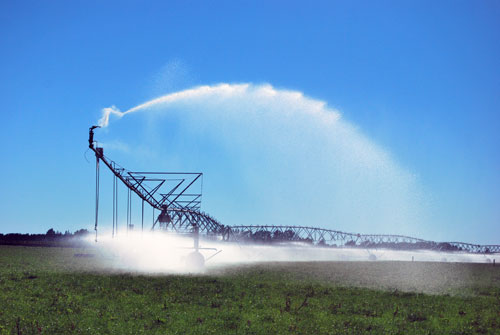 pivotal irrigator in field