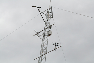 tower view from ground