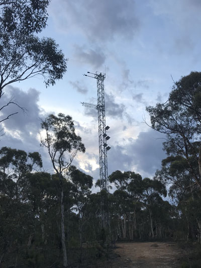 Completed tower in sunset