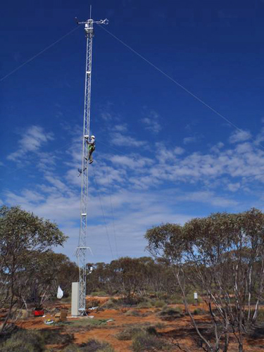 The Calperum tower