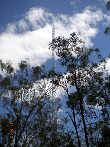 tower in the bush