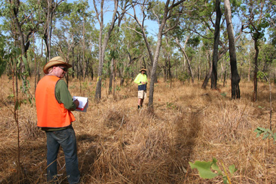 men taking measurements at the site