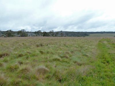 view across the plain