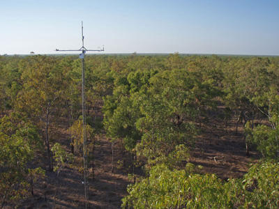 tower in the woodland