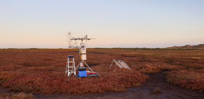 An image taken from the east facing west in the early morning, highlighting the channels that run through the marsh, allowing it to inundate on high spring tides