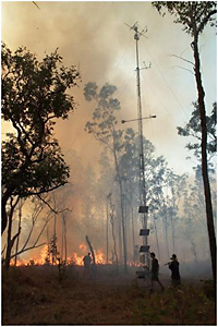 bush fire near the tower