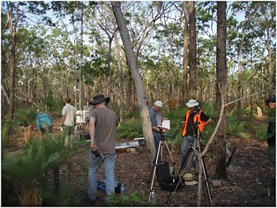 people in the forest