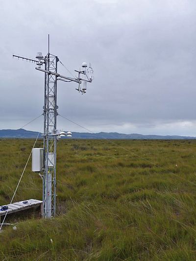 person at rain gauge