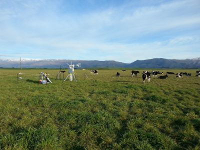 photo taken of eddy covariance system at a bit of a distance to the left side of the photo, cows grazing to the right side in the pasture, snowy mountains on the horizon, with light clouds covering most of a blue sky