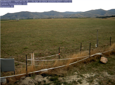 photo taken from onsite phenocamera