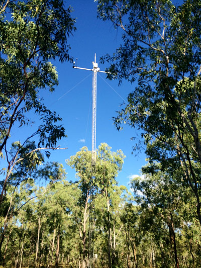 the top of the tower viewed from the ground through the trees