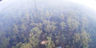 a view from up the mast showing the tree canopy and some breaks in the canopy to the ground in the near field; everything is shrouded in smoke