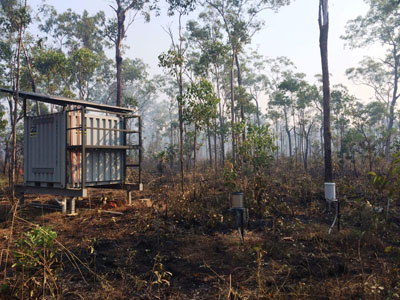 shed in the forest