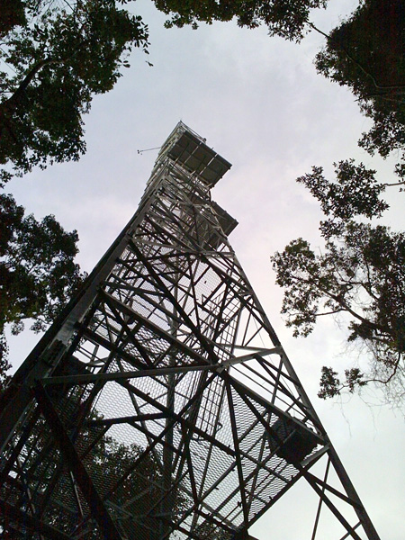 view looking up the tower