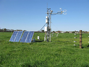 tower in paddock