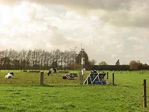 view across paddock to tower