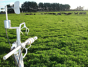 view across paddock