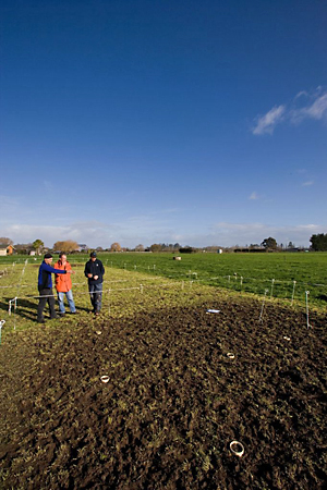 people in paddock