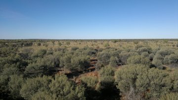 landscape View from tower