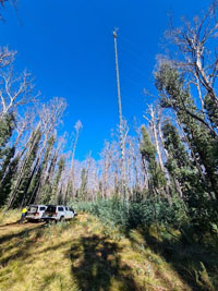 tower profile from ground with forest around