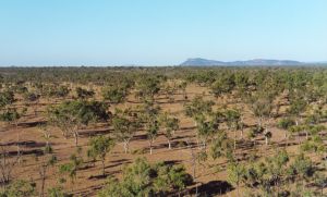 view of landscape