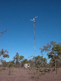 Instrument mast