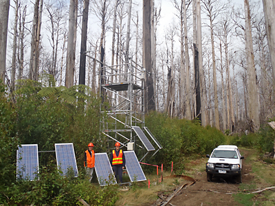 Restored Flux Tower