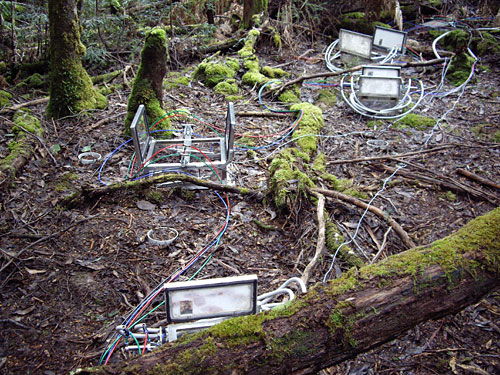 instruments on forest floor