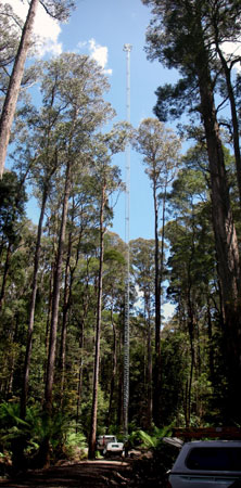 Flux tower in the forest