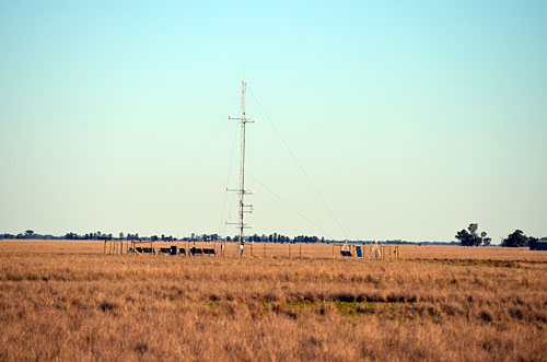 tower in a paddock
