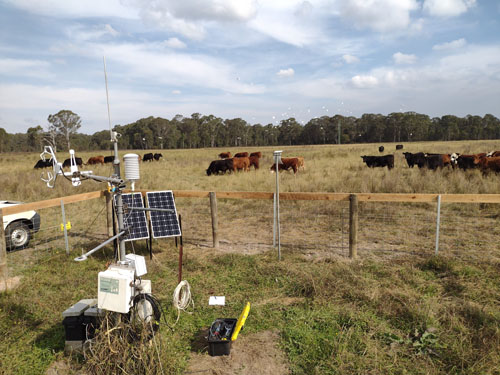 Yarramundi Control Paddock tower