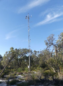 Flux tower