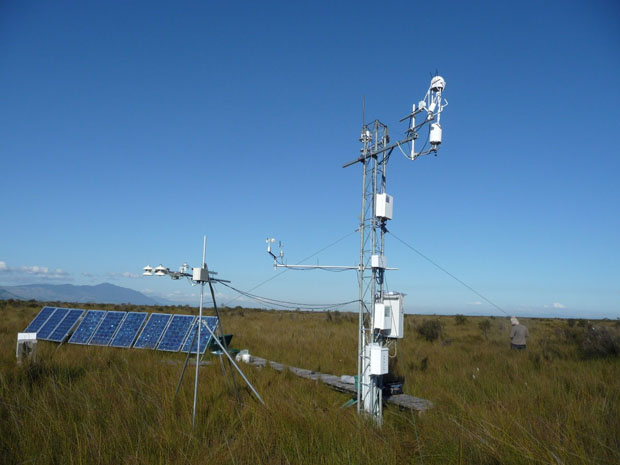 Kopuatai flux tower