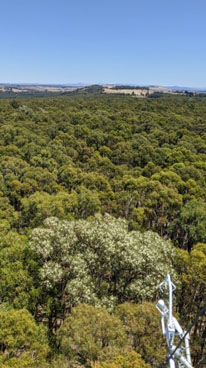 view from the top of the Wombat tower