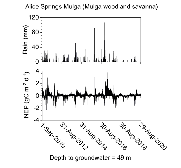 plot of 10 years of NEP and rainfall for Alice Mulga