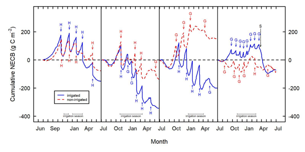 plot of annual cumulative net ecosystem carbon balance of irrigated and non-irrigated lucerne from July 2016 to June 2020