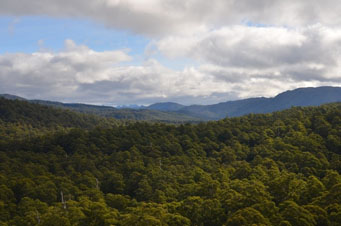 clouds in sky, hills in the distant horizon and forest in foreground