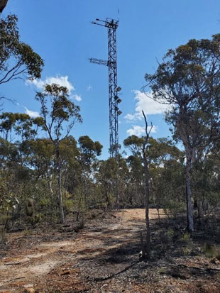 large free standing lattice mast with equipment in forest