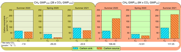 bar charts of daily net flux at French Island for the spring and summer